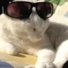 Bedrijfsimago 4