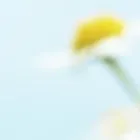 Bedrijfsimago 1