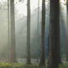 Bedrijfsimago 6