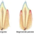 Bedrijfsimago 11