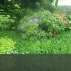 Bedrijfsimago 1