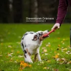 Bedrijfsimago 6