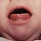 Bedrijfsimago 13
