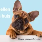 Bedrijfsimago 1