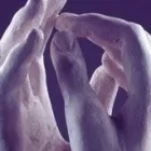 Bedrijfsimago 15