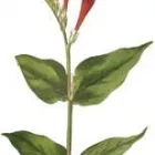 Bedrijfsimago 1