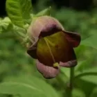 Bedrijfsimago 7