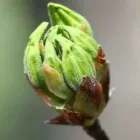 Bedrijfsimago 3