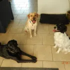 Bedrijfsimago 4