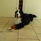 Bedrijfsimago 5