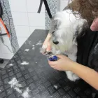 Bedrijfsimago 8