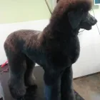 Bedrijfsimago 9