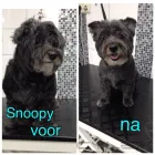 Bedrijfsimago 10