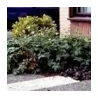 Bedrijfsimago 8