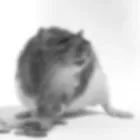Bedrijfsimago 6