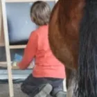 Bedrijfsimago 4