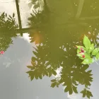 Bedrijfsimago 7