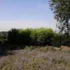 Bedrijfsimago 8