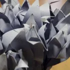 Bedrijfsimago 5