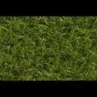 Bedrijfsimago 5