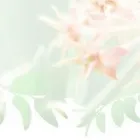 Bedrijfsimago 11
