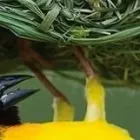Bedrijfsimago 11