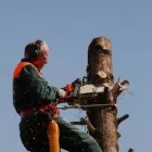 Bedrijfsimago 6