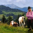 Bedrijfsimago 4