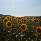 Bedrijfsimago 4