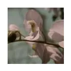 Bedrijfsimago 4