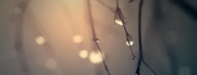 Bedrijfsimago 4