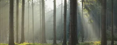 Bedrijfsimago 6