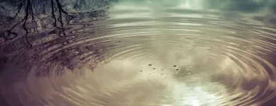 Bedrijfsimago 1