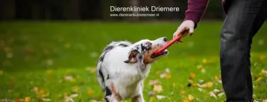 Bedrijfsimago 6