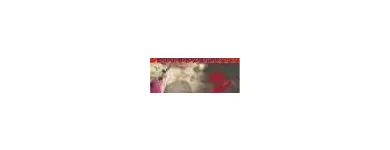 Bedrijfsimago 9