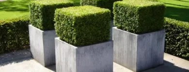 Bedrijfsimago 6