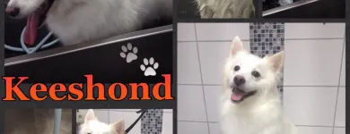 Bedrijfsimago 5