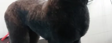 Bedrijfsimago 9