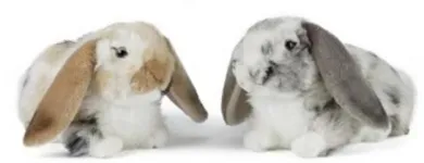 Bedrijfsimago 1