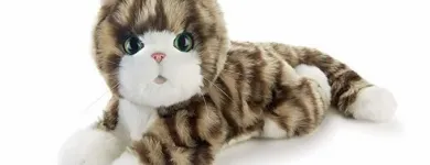 Bedrijfsimago 4