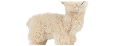 Bedrijfsimago 7