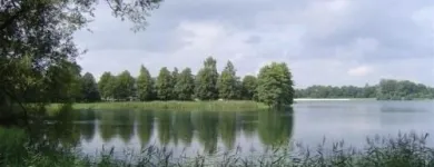 Bedrijfsimago 5