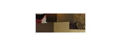 Bedrijfsimago 6