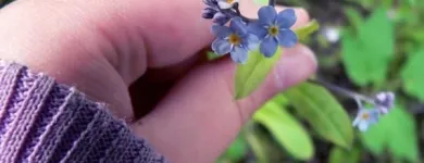 Bedrijfsimago 5