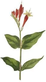 Bedrijfsimago 1