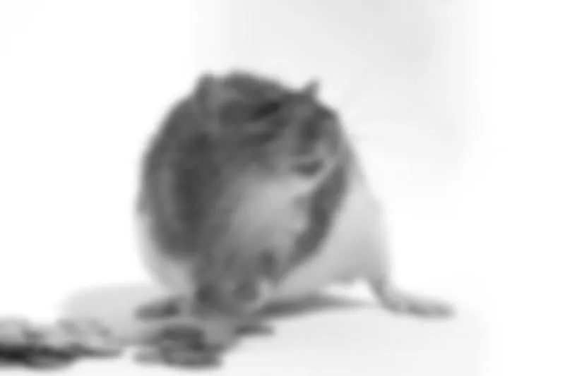 Bedrijfsimago 6