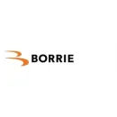 BORRIE & CO ACCOUNTANTS B.V. Rechtskundig en financieel in Rotterdam ZH