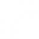 DIERENUITVAARTCENTRUM AMSTERDAM OOST Gemeenschap en regering in Amsterdam NH