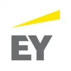 ERNST & YOUNG REAL ESTATE ADVISORY SERVICES BV