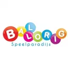 KINDERSPEELPARADIJS BAL-LORIG OMMOORD B.V.